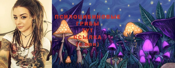 стаф Волосово